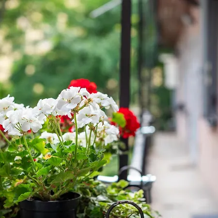 Nawa Navigli Apartment