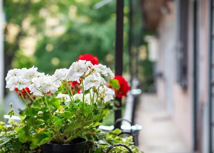 Nawa Navigli Apartament